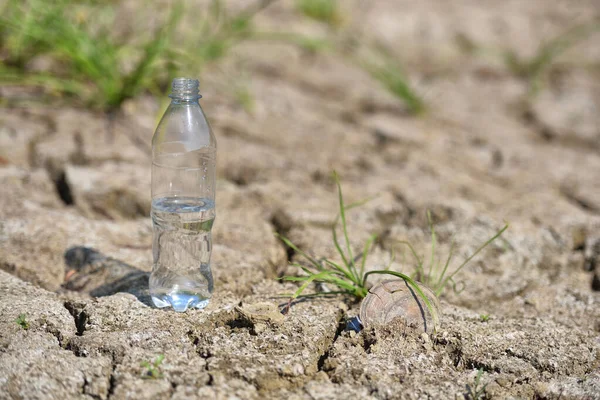 A transparent bottle of clean drinking water stands in the middle of dry, cracked desert land. Global warming concept. Drought and water crisis