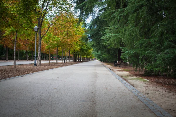 Madrid Spanyolország Retiro Park Parque Retiro Kép Készült Szeptember 2021 — Stock Fotó