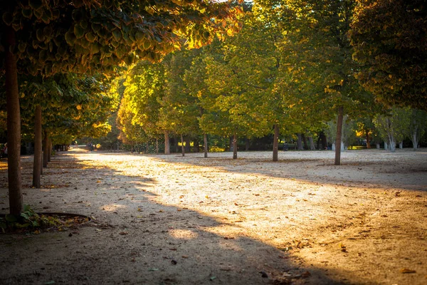 Madrid Spanyolország Retiro Park Parque Retiro Kép Készült Szeptember 2021 — Stock Fotó