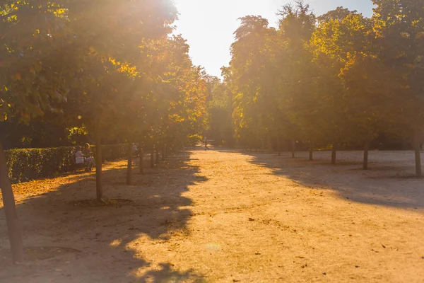 Madrid Espanha Parque Retiro Parque Retiro Foto Tirada Setembro 2021 — Fotografia de Stock