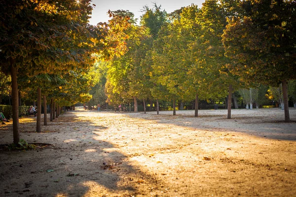 Madrid Spanyolország Retiro Park Parque Retiro Kép Készült Szeptember 2021 — Stock Fotó