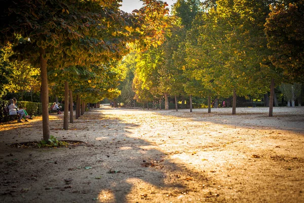 Madrid Spanyolország Retiro Park Parque Retiro Kép Készült Szeptember 2021 — Stock Fotó