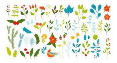 Noel bitkisi defne yaprağı noktalama seti Holly kış karalaması botanik