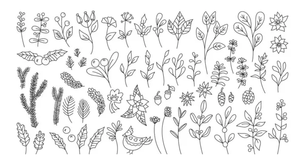 Natal ano novo ramo planta doodle conjunto laurel poinsettia azevinho —  Vetores de Stock