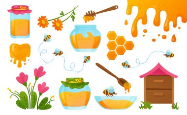 Bal camı kavanozu bal peteği set dipper, akıcı sıvı propolis tasarımı