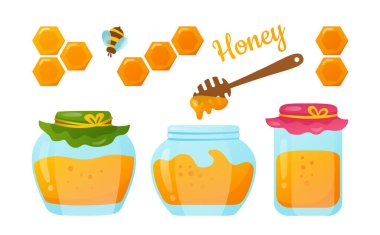 Cam kavanozdaki bal ve bal peteği eko set akışkan sıvı tasarım vektörü