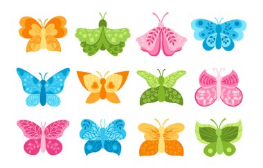 Kelebek egzotik süslemeli tek renkli set stilize edilmiş tropikal böcek vahşi yaşam sembolü vektörü