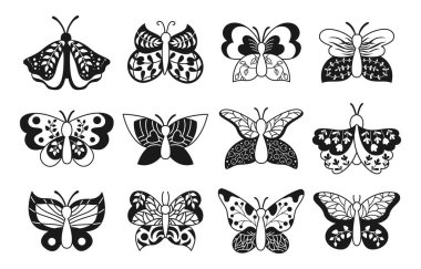 Kelebek egzotik süslemeli siyah beyaz güveler karalama koleksiyonu dekoratif vektörü