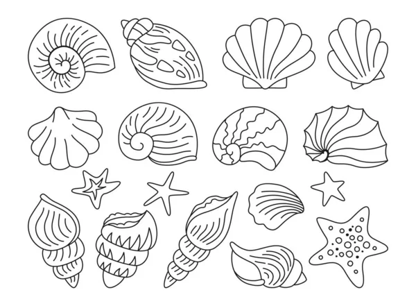 Seashells doodle hand drawn set ocean marine starfish molluskconch sink under water design vector — Archivo Imágenes Vectoriales