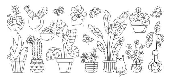 Pot de plante maison doodle set exotique plante d'intérieur linéaire pot de fleurs pour intérieur cactus monstera vecteur — Image vectorielle