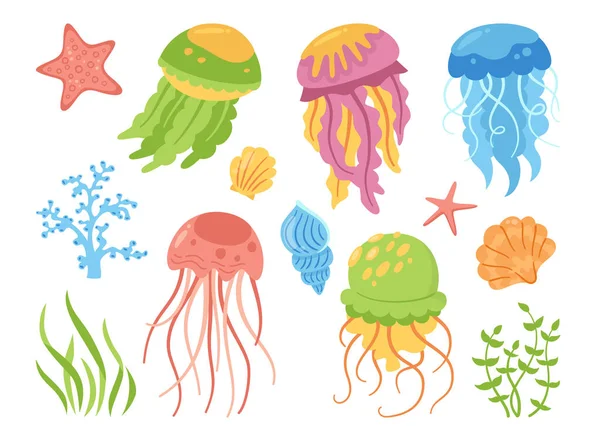 Jellyfish cartoon set ocean marine undersea jelly medusa seaweed molluskshell conch flat sea vector — Stockový vektor