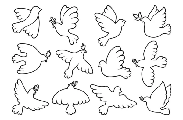 Vredessymbool duif contour outline set vliegende vogel duif olijftak menselijkheid embleem geen oorlog logo — Stockvector