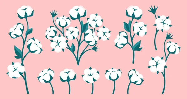 Cotton Flower Branch Flat Cartoon Set Natural White Blossom Fluffy — Stockový vektor