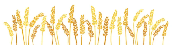 Wheat Ear Gold Engraved Border Background Agricultural Silhouette Press Golden — ストックベクタ