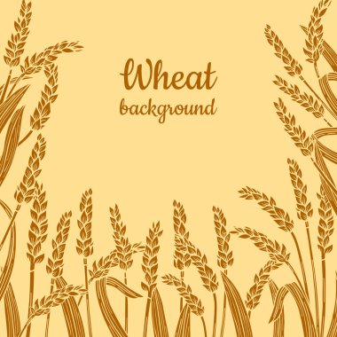 Buğday kulaklı, altın çerçeveli arka plan. Tahıl şablonu dizayn et olgunlaşmış buğday, sınır deseni. Tarımsal karalama sembolü, un üretimi. Organik tarım unsurları, ekmek birası paketleme etiketi