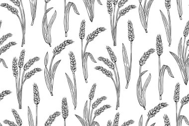 Buğday kulağı çizimi kusursuz desen. Tarımsal bolluk sonsuz baskı. Mısır gevrekleri buğday arkaplan duvar kağıdını olgunlaştırıyor. Tarım süsü, organik vejetaryen ekmek, bira tekrar dekor ambalajlama