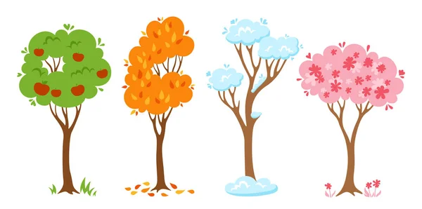 Tree four season flat cartoon set. Spring, summer and autumn, winter. Forest or park abstract stylized plant, nature eco botanical collection. Deciduous tree with leaves and lush crowns vector