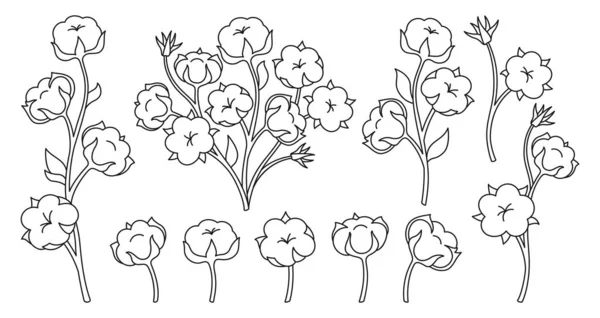 Cotton Flower Branch Doodle Linear Set Natural White Blossom Fluffy — Archivo Imágenes Vectoriales