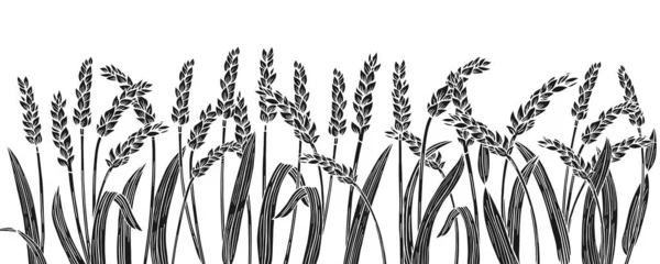 Пшеничне Вухо Вигравіруване Або Штамповане Межове Тло Зернові Культури Стиглий — стоковий вектор