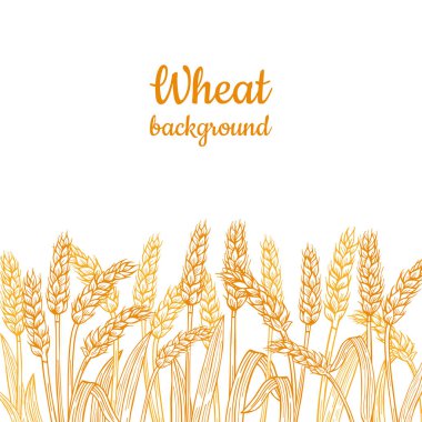 Wheat ear gold sketch border background. Agricultural linear golden flour production. Cereals ripe spike frame horizontal pattern. Design template farm stencil, organic bread, beer vector