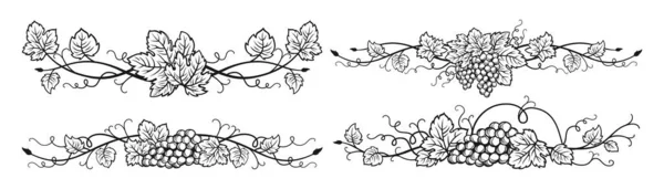 Uva Divisor Videira Cachos Esboço Conjunto Tinta Vintage Mão Desenhada — Vetor de Stock
