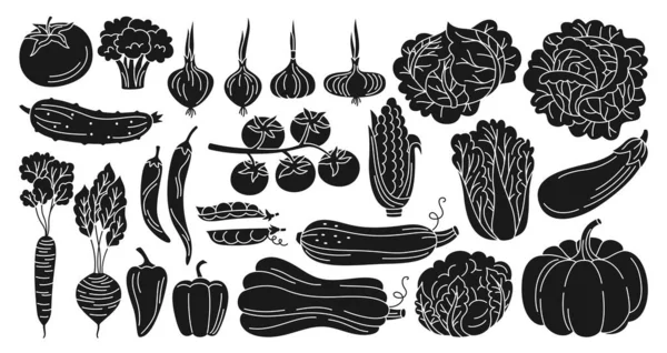 Ensemble Style Gravure Légumes Alimentation Saine Produit Agricole Collection Légumes — Image vectorielle