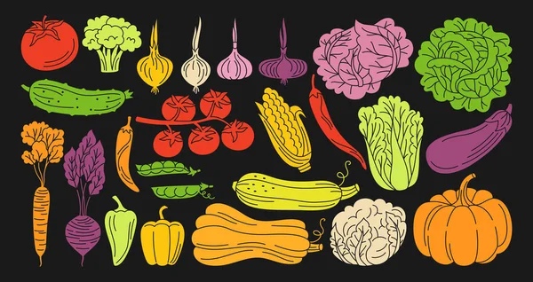 Sayuran Tangan Ditarik Set Koleksi Produk Makanan Pertanian Makanan Sehat - Stok Vektor