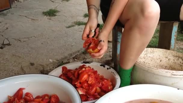 Female Person Tattoos Hands Cuts Tomatoes Putting White Bowl Gardener — Vídeo de stock