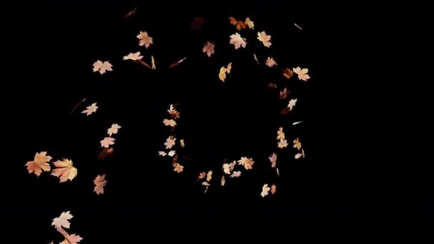 Maple Leaves Falling Alpha Pohybový Záznam Pro Sezónní Filmy Kinematografii — Stock video