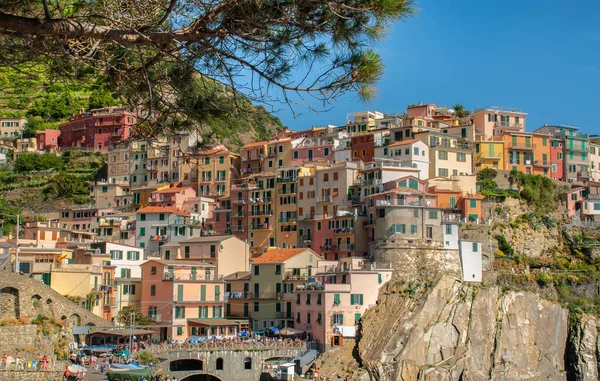 Manarolla 'nın güneşli manzarası. Cinque Terre, İtalya. 