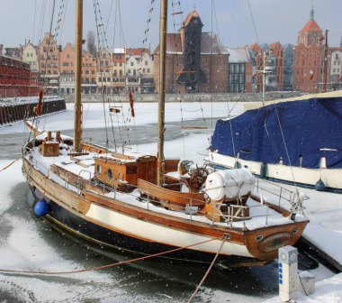 Polonya 'nın Gdansk kentinin önünde tahta yaban domuzu..