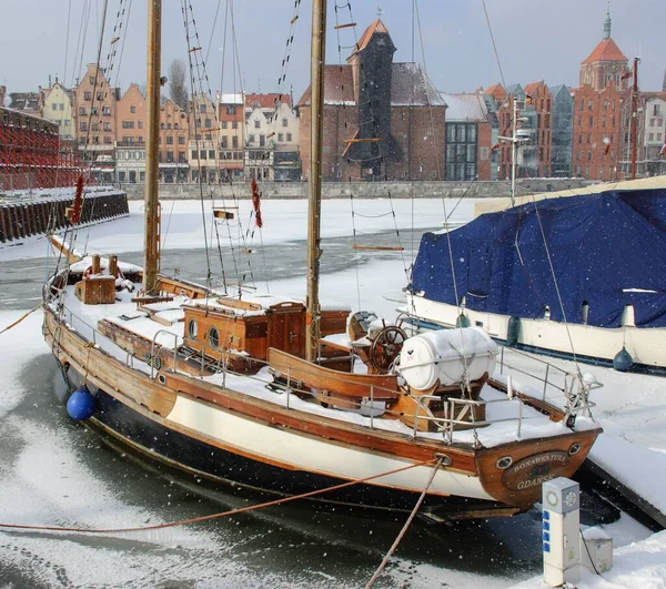 Polonya 'nın Gdansk kentinin önünde tahta yaban domuzu..