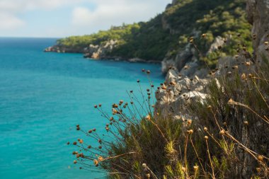 Yeşil kayaların yüksekliğinden güzel sahil ve gök mavisi deniz manzarası.