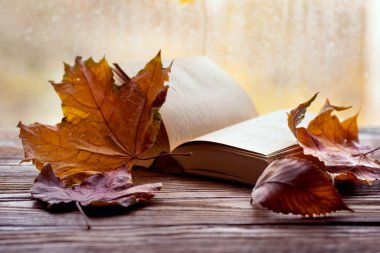 Pencerenin yanında açık bir kitap ve sarı yapraklar ve pencereye soya yağmuru damlaları..