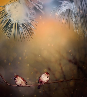 Fotoğrafın muhteşem atmosferi. Kozalaklı dalların ve ışıldayan kar tanelerinin arasında daldaki serçe kuşları..