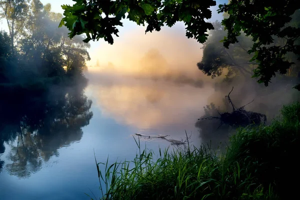 Tidig Dimmig Sommarmorgon Floden Vacker Gryning Dimman — Stockfoto