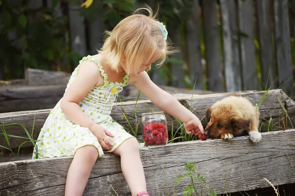 Şirin bir kız küçük bir köpeği ahududuyla besler. kırsalda dinlenin..