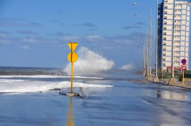 Deniz kenarındaki bir fırtına sırasında dev kuzgunlar. Küba. Havana. Seddi Malecon.