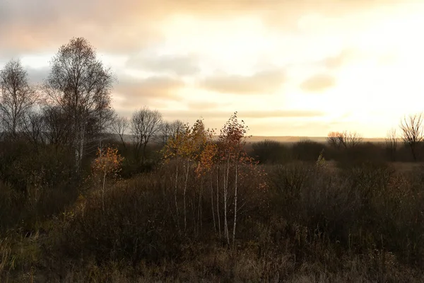 Akhir Musim Gugur Pemandangan Langit Suram Saat Matahari Terbenam Dan — Stok Foto