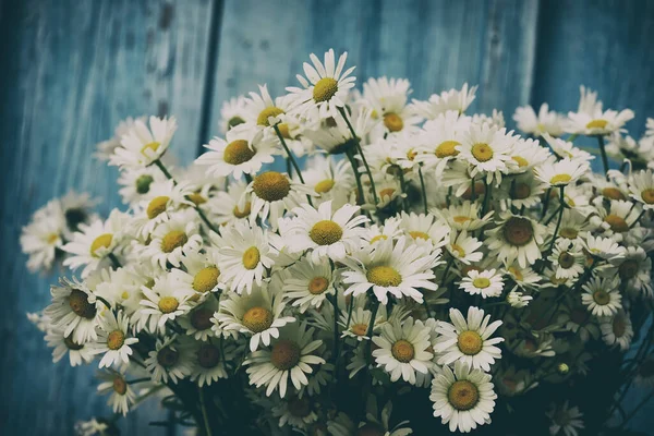 Mavi ahşap arka planda bir buket papatya çiçeği. Klasik Rustik Biçim