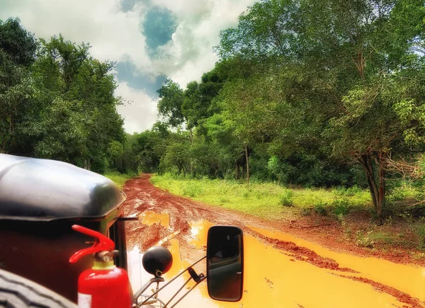 Una Vista Camino Tierra Selva Durante Safari —  Fotos de Stock