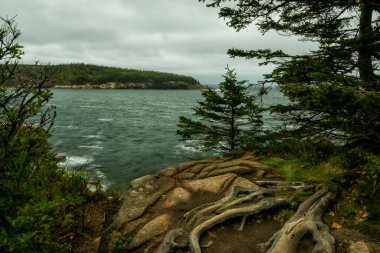 Rocky coastline and pine trees on the cliff on the Atlantic Ocean. Acadia National Park. USA. Maine. Long exposure