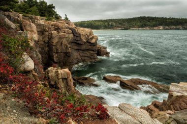 Rocky coastline and pine trees on the cliff on the Atlantic Ocean. Acadia National Park. USA. Maine. Long exposure