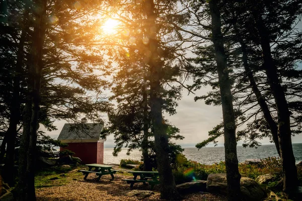 Felsige Wilde Küste Des Atlantiks Usa Maine Ein Kleines Leuchtturmhaus — Stockfoto