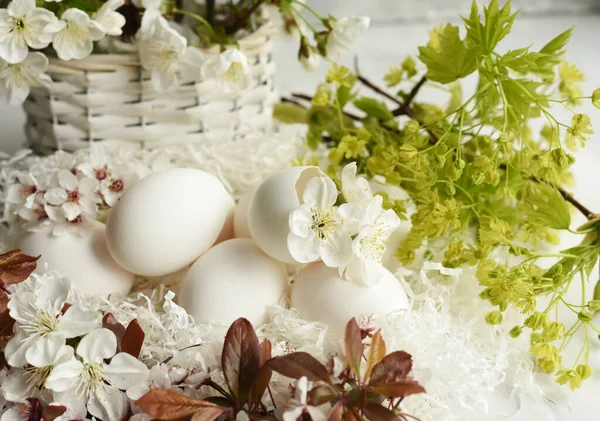 Jaja Białe Kwiaty Wiśni Śliwek Drzew Owocowych Jasnym Tle Wiosenny — Zdjęcie stockowe