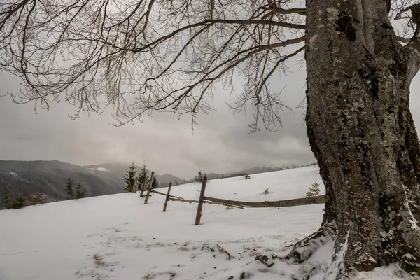 Kış Kasvetli Dağ Manzarası Gri Gökyüzü Kar Fırtınası — Stok fotoğraf