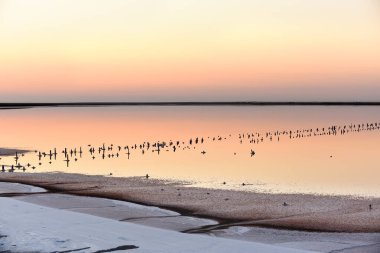 Gün batımında aynalı su ile tuzlu göl. Tuz gölünün sakin akşam manzarası.