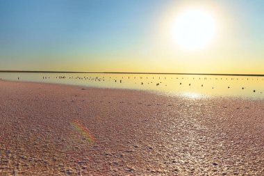 Gün batımında aynalı su ile pembe tuz gölü. Tuz gölünün sakin akşam manzarası.