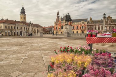 Romanya 'nın Oradea kentinin merkez meydanı. Meydanda bahar çiçeklerinin satışı.