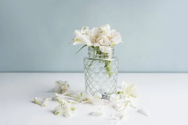 Delicado Ramillete Flores Blancas Alstroemeria Sobre Fondo Pastel Claro Vacaciones — Foto de Stock